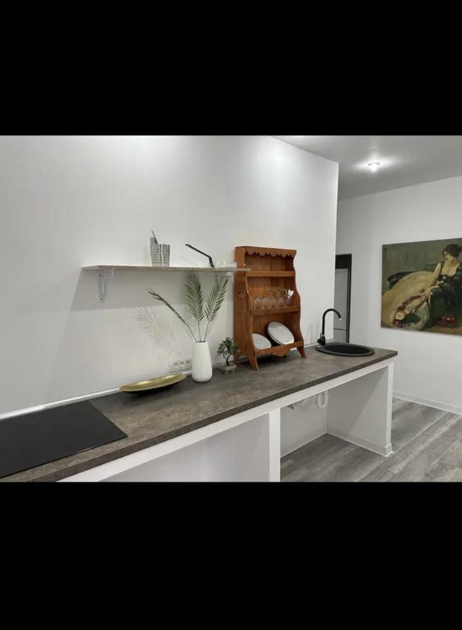 Piata Libertatii Apartament 1 Room Temesvár Kültér fotó
