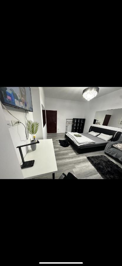 Piata Libertatii Apartament 1 Room Temesvár Kültér fotó