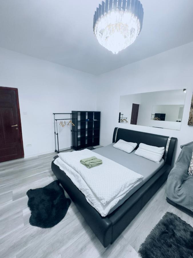Piata Libertatii Apartament 1 Room Temesvár Kültér fotó